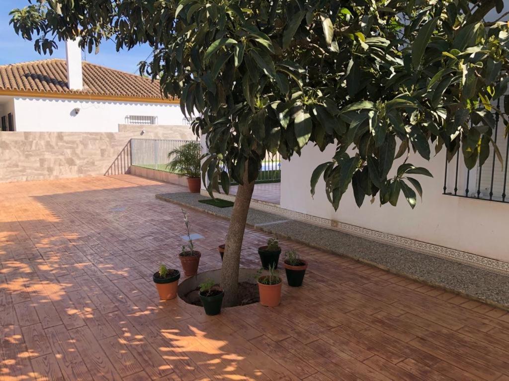 Casas Juani- chalet con piscina Conil De La Frontera Exterior foto